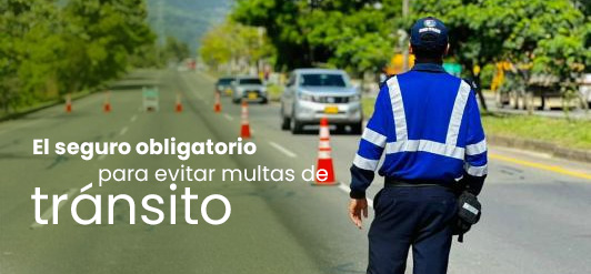 Agente de tránsito revisando vehículos en la vía